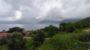 thumb_3573923_img_20250523_075319_2.jpg