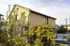 thumb_3574126_z1.jpg