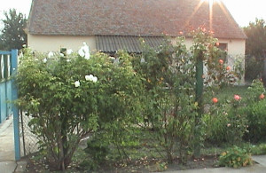 thumb_3574147_dsc00264.jpg