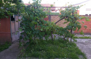 thumb_3574203_20250527_194024rr.jpg