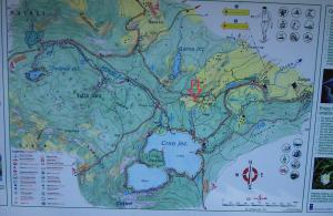thumb_3574212_zabljak401.jpg