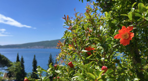 thumb_3575054_1.jpg