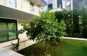 thumb_3575848_img_0586.jpg