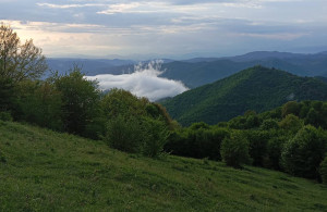 thumb_3576189_6.jpg