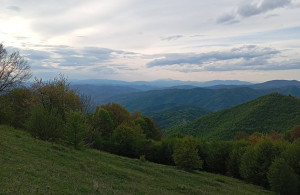 thumb_3576189_8.jpg