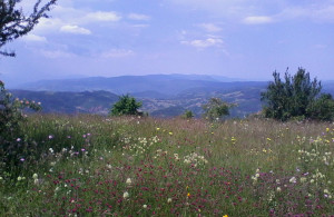 thumb_3576189_9.jpg