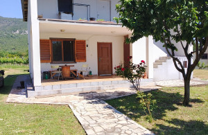 thumb_3576602_1fronte1.jpg
