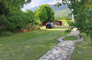 thumb_3576602_2vialetto.jpg