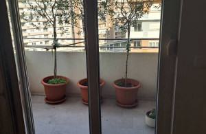 thumb_3576621_img_0965.jpeg
