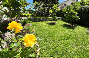 thumb_3576627_happy_montenegro_house_in_montenegro12.jpg