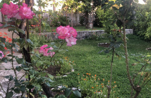 thumb_3577019_img_0776r.jpeg