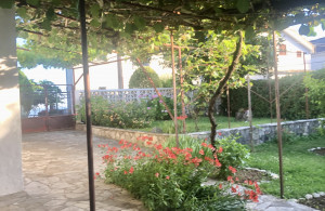 thumb_3577019_img_0778.jpeg