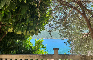 thumb_3577726_property--happy_montenegro_seaview_flat18.jpg