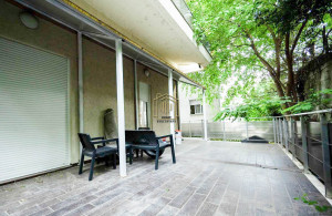 thumb_3577763_13.jpg