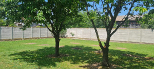 thumb_3577783_img_3098.jpeg