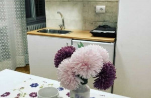 thumb_3578108_apartman-za-odmor-rakovac-17.jpeg