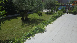 thumb_3578733_img_20250603_121823_711.jpg