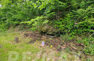 thumb_3578773_10.jpg