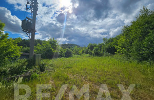 thumb_3578773_9.jpg
