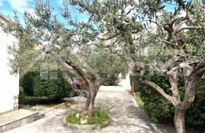 thumb_3581425__a_mediterranean_garden_in_a_peaceful_setting_for_sale_4.jpg
