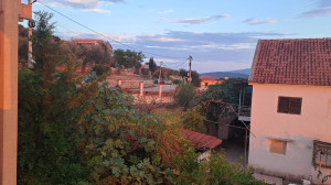 thumb_3581479_6.jpg