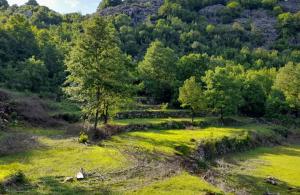 thumb_3582102_sablon-prodaja_20250604_133102_0002.jpg