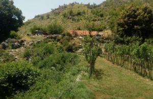 thumb_3582102_sablon-prodaja_20250604_133103_0003.jpg