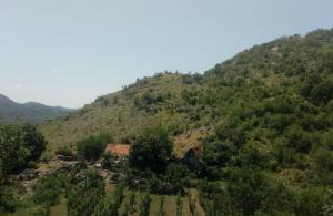 thumb_3582102_sablon-prodaja_20250604_133103_0005.jpg