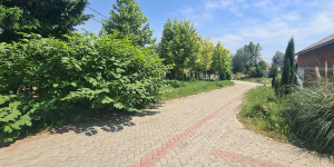 thumb_3582186_2.jpg