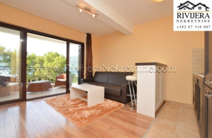 thumb_3582232_retnine_tan_apartment_baosici_herceg_novi_ads_oglasi--9-.jpg