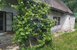 thumb_3583080_image_624cdd822fc94451e494d71d.jpeg