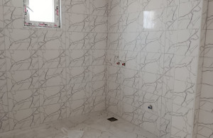thumb_3583374_10.jpg