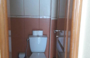 thumb_3583774_pb.jpeg