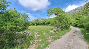 thumb_3583936_p1.jpg