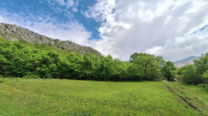 thumb_3583936_p3.jpg