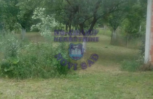 thumb_3583981_image_624cd0382fc94451e48da754.jpeg