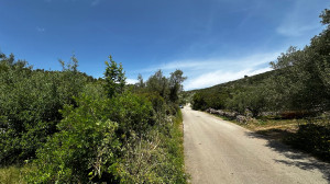 thumb_3584761_img_1176.jpg