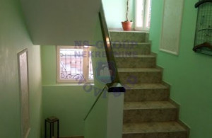 thumb_3584905_8.jpg