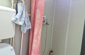 thumb_3584916_rad7.jpg
