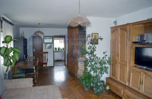 thumb_3584928_1.jpg
