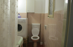 thumb_3585004_img_1243.jpg