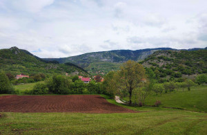 thumb_3585024_naslovna.jpg