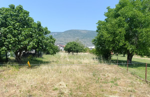 thumb_3585780_vr13.jpg