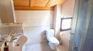 thumb_3585829_10.jpg
