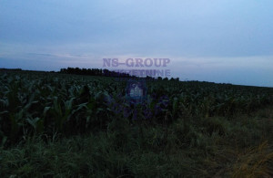 thumb_3586719_image_624ccf362fc94451e48d1a59.jpeg