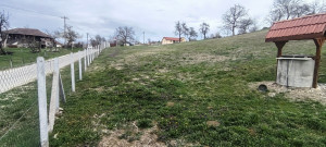 thumb_3586731_10.jpg