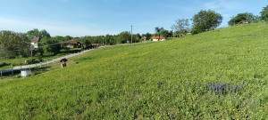 thumb_3586731_4.jpg