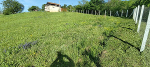 thumb_3586731_5.jpg