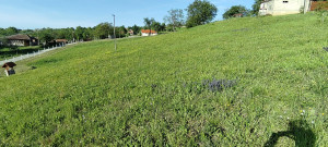 thumb_3586731_6.jpg