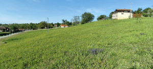 thumb_3586731_7.jpg